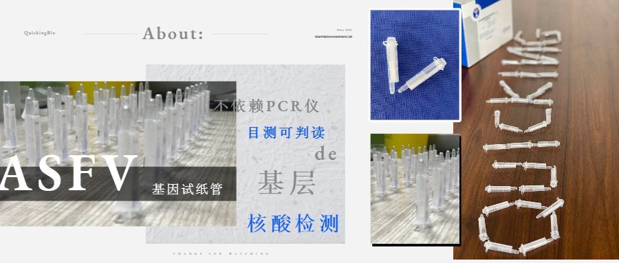 展會(huì)回顧丨丨南京豬業(yè)大會(huì)(圖1)